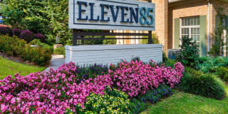 Eleven85 Eleven85 Photo Gallery 1