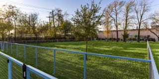 Nest Apartments Nest Apartments Photo Gallery 1