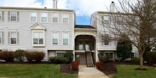 8136 BAYONET WAY 8136 BAYONET WAY Photo Gallery 1
