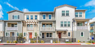 1111 Hibiscus Way 1111 Hibiscus Way Photo Gallery 1