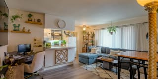 The Grand Apartments Pacific Beach The Grand Apartments Pacific Beach Photo Gallery 1