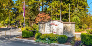 Canopy Glen Canopy Glen Photo Gallery 1