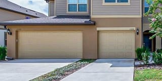 1236 Pavia Drive 1236 Pavia Drive Photo Gallery 1