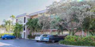 Golden Palms Golden Palms Photo Gallery 1