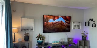 8800 BARDMOOR BOULEVARD 8800 BARDMOOR BOULEVARD Photo Gallery 1