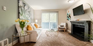 Vibe Vibe Photo Gallery 1