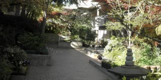 822 100th Ave NE Apt 3 822 100th Ave NE Apt 3 Photo Gallery 1