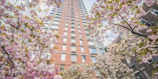 305 West 50th St. 305 West 50th St. Photo Gallery 1