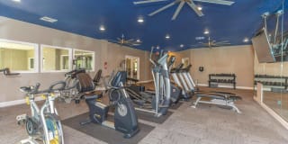 Village at Westchase Village at Westchase Photo Gallery 1