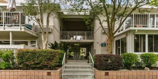 560 Avenida Sevilla 560 Avenida Sevilla Photo Gallery 1
