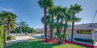 9023 Louise Ave 9023 Louise Ave Photo Gallery 1