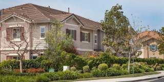 2686 Night Jasmine Dr 2686 Night Jasmine Dr Photo Gallery 1