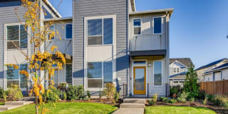 3502 SE Birchleaf St 3502 SE Birchleaf St Photo Gallery 1