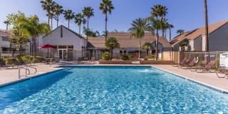 Palm Court Apartment Homes Palm Court Apartment Homes Photo Gallery 1