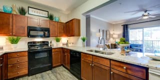 Callista Hill Country Apartments Callista Hill Country Apartments Photo Gallery 1