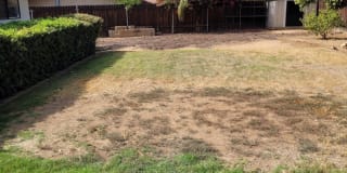1417 Fernwood Dr. 1417 Fernwood Dr. Photo Gallery 1