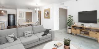 Lux North Lux North Photo Gallery 1