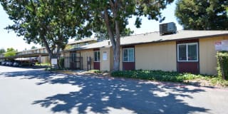 Driftwood Apartments Driftwood Apartments Photo Gallery 1