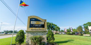 Deerbrook Forest Deerbrook Forest Photo Gallery 1