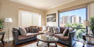 445 Island Ave #405 445 Island Ave #405 Photo Gallery 1