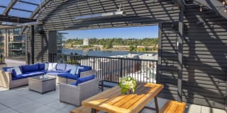 Waterline Waterline Photo Gallery 1