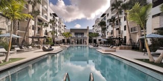 Palmera Palmera Photo Gallery 1