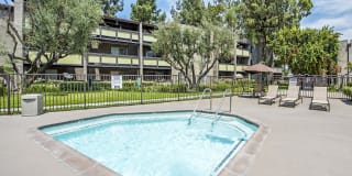 The Olive Ridge Resort The Olive Ridge Resort Photo Gallery 1