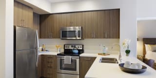 Alder Alder Photo Gallery 1
