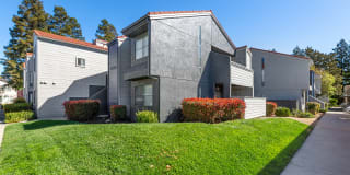 Renew on Summerfield Renew on Summerfield Photo Gallery 1
