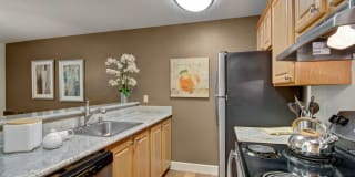 Island Park Island Park Photo Gallery 1