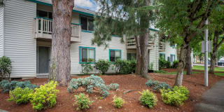 Aspire Gresham Aspire Gresham Photo Gallery 1