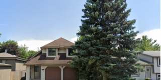 1039 Cobalt Ave 1039 Cobalt Ave Photo Gallery 1