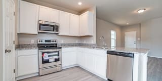 10534 Lateleaf Oak 10534 Lateleaf Oak Photo Gallery 1