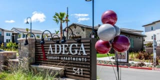 Adega Adega Photo Gallery 1