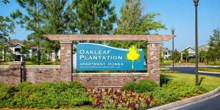 Oakleaf Plantation Oakleaf Plantation Photo Gallery 1