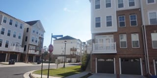 42281 CANARY GRASS SQUARE 42281 CANARY GRASS SQUARE Photo Gallery 1