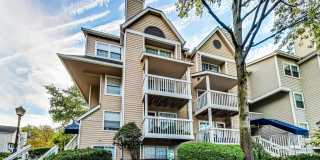 10821 HAMPTON MILL TERRACE 10821 HAMPTON MILL TERRACE Photo Gallery 1