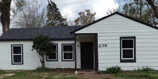 238 Birch Street 238 Birch Street Photo Gallery 1