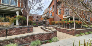 325 Channing Ave., #313 325 Channing Ave., #313 Photo Gallery 1