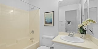 286 North Madison Avenue 286 North Madison Avenue Photo Gallery 1