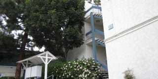 800 Camino Real #104 - 104 800 Camino Real #104 - 104 Photo Gallery 1