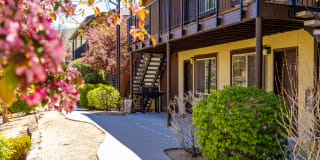 Sierra Sage Apartments Sierra Sage Apartments Photo Gallery 1