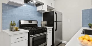 Bloom Beverly Hills Bloom Beverly Hills Photo Gallery 1