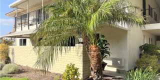 2313 Via Puerta 2313 Via Puerta Photo Gallery 1
