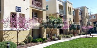4716 Norris Canyon Road Unit 104 4716 Norris Canyon Road Unit 104 Photo Gallery 1
