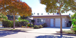 262 Macdonald St 262 Macdonald St Photo Gallery 1