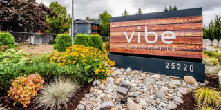 Vibe Vibe Photo Gallery 1