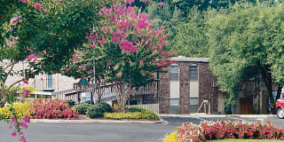 The Willows Apartments The Willows Apartments Photo Gallery 1