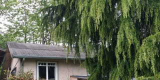 927 N Cambrian Ave. 927 N Cambrian Ave. Photo Gallery 1