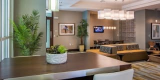 The Marquis at Coral Springs The Marquis at Coral Springs Photo Gallery 1